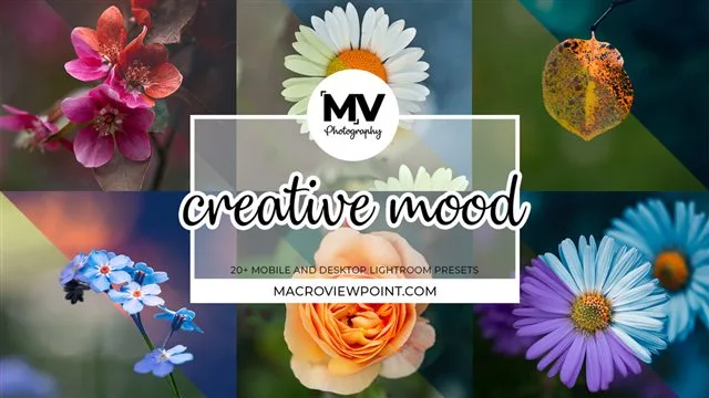 Creative Mood Lightroom presets