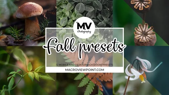 Fall Lightroom presets