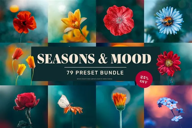 Seasons & Mood bundle Lightroom presets