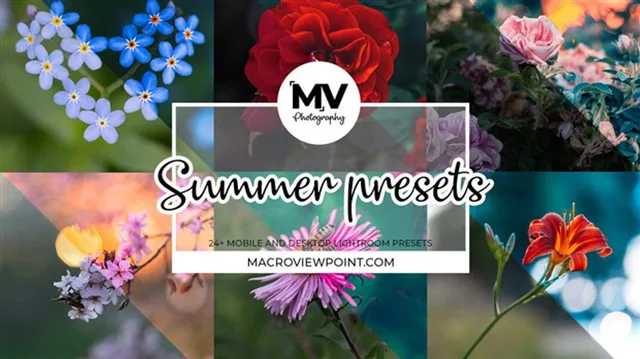 Summer Lightroom presets