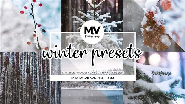 Winter Lightroom presets