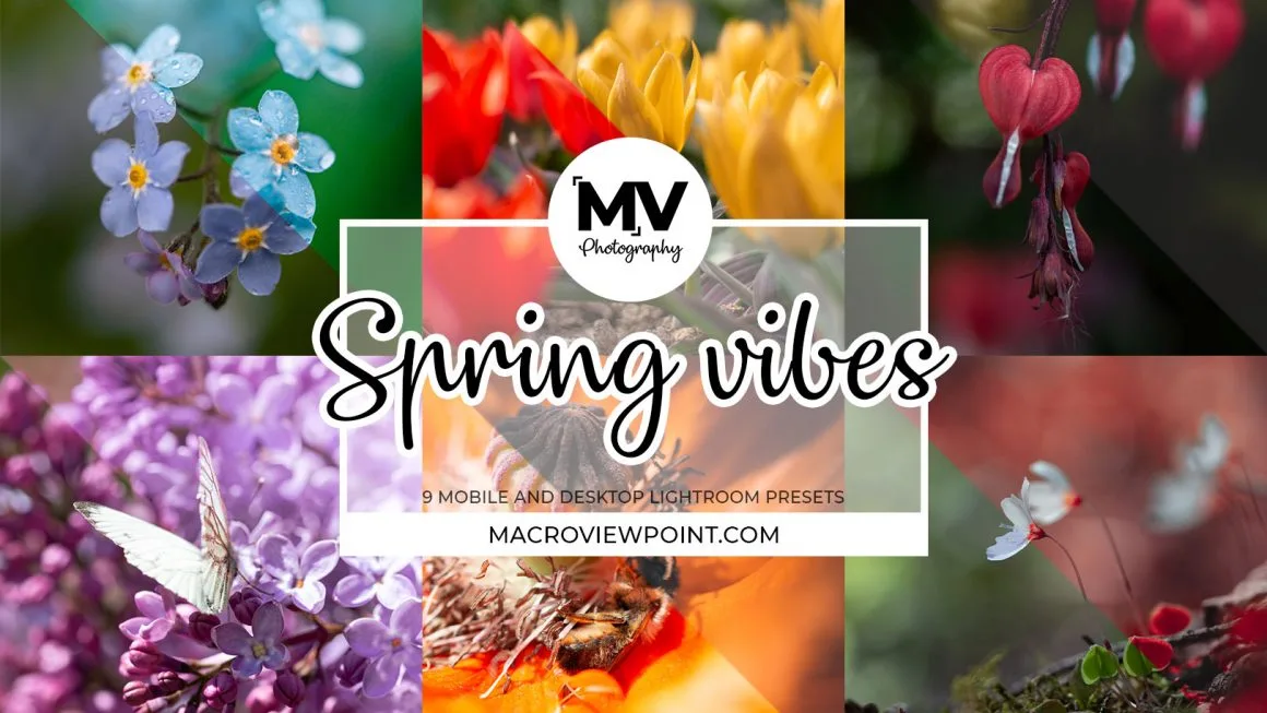 Spring Vibes Lightroom presets for flower photos